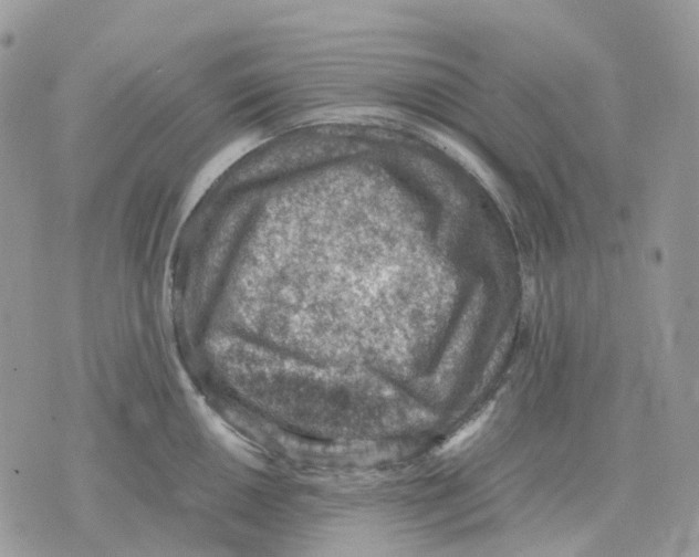 X0000070371050200607072123