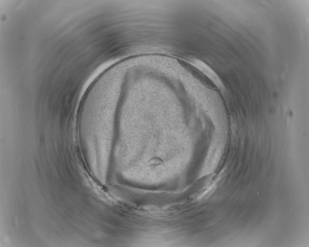 X0000070371052200607072123