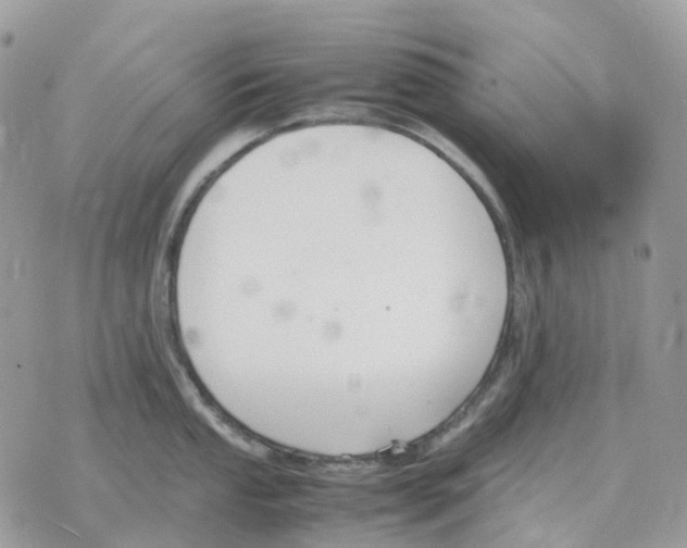 X0000070371053200607072123