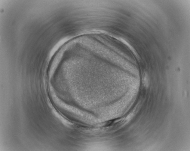 X0000070371054200607072123