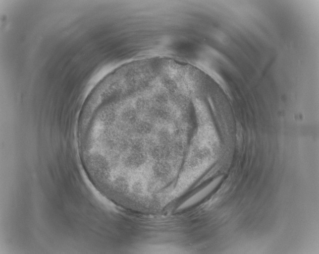 X0000070371055200607072123