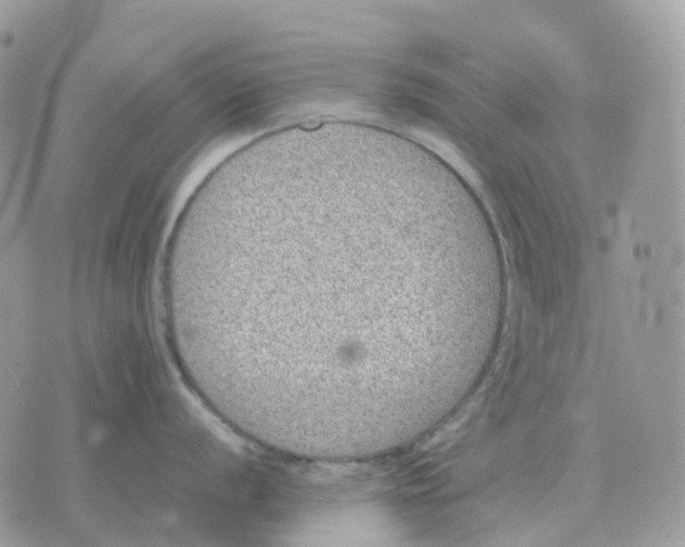 X0000070371056200607072123