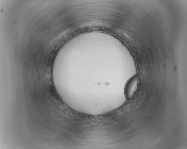 X0000070371062200607072123