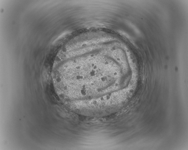 X0000070371063200607072123