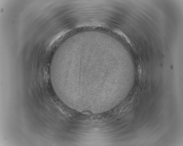 X0000070371064200607072123