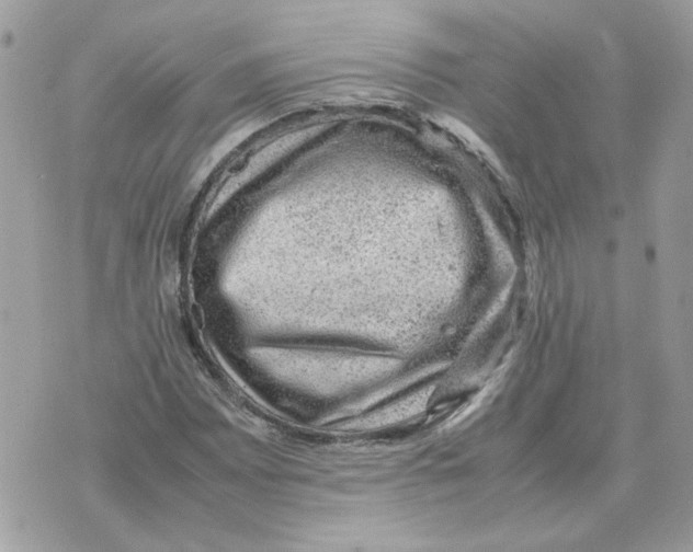 X0000070371065200607072123