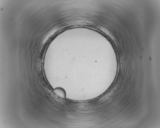 X0000070371067200607072123