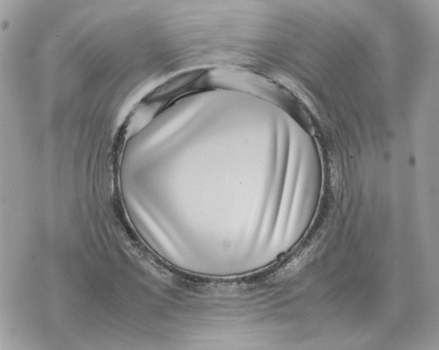 X0000070371069200607072123