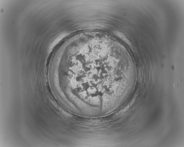 X0000070371071200607072122