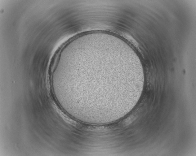 X0000070371072200607072122