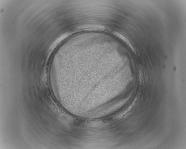 X0000070371074200607072122