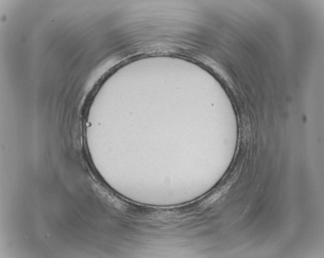 X0000070371075200607072122