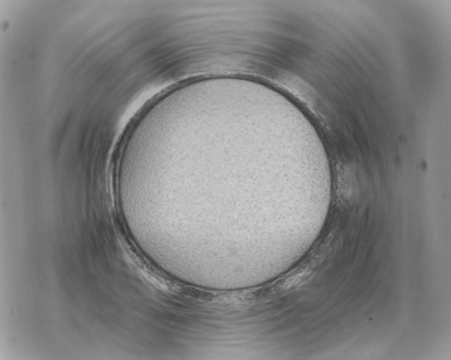 X0000070371078200607072122