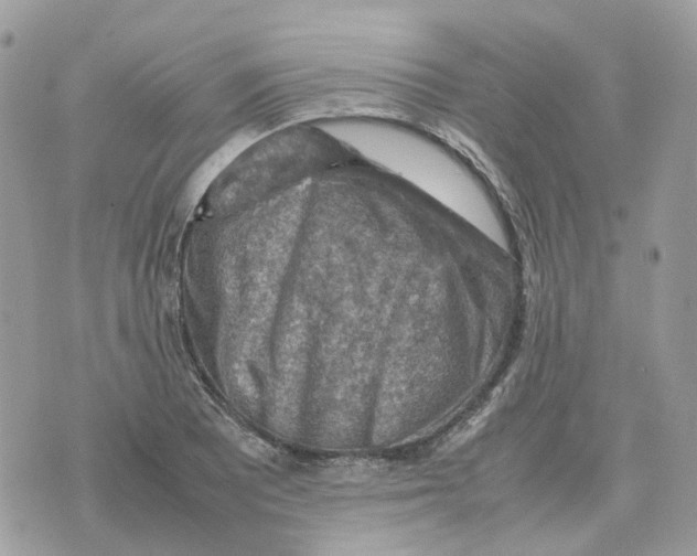 X0000070371081200607072122