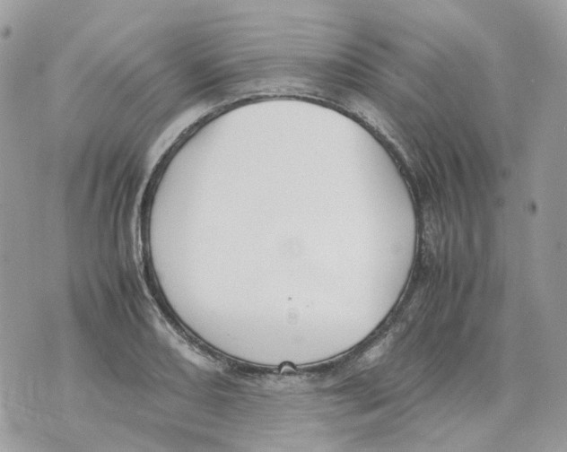 X0000070371082200607072122