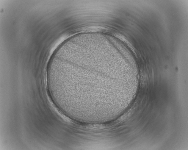 X0000070371083200607072122