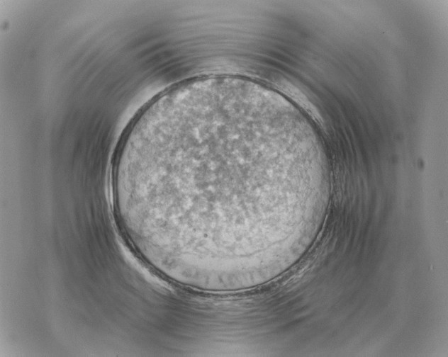 X0000070371084200607072122