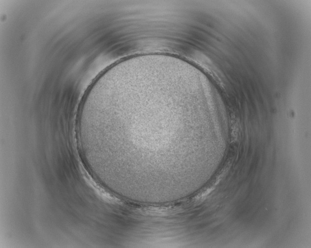 X0000070371086200607072122