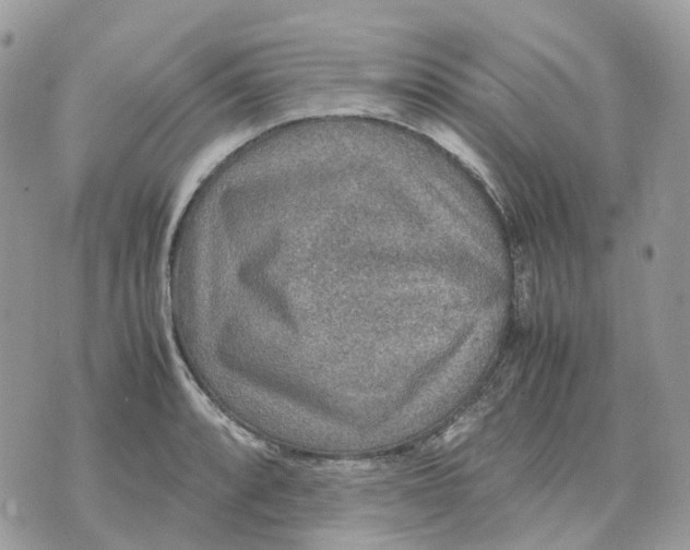 X0000070371088200607072122