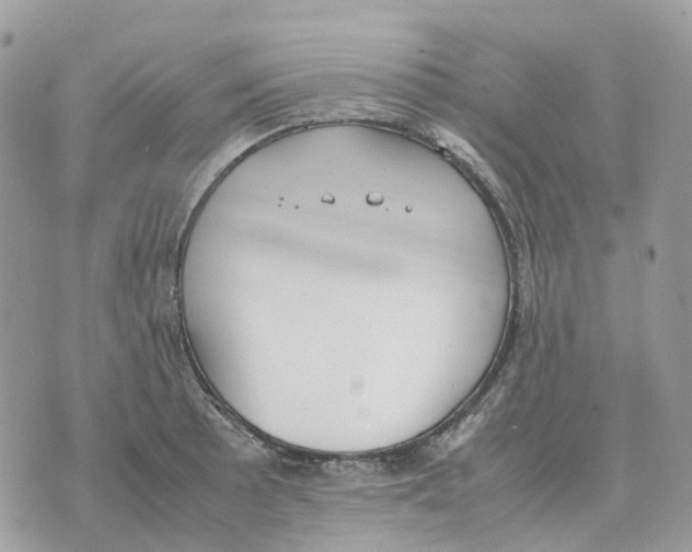 X0000070371089200607072122