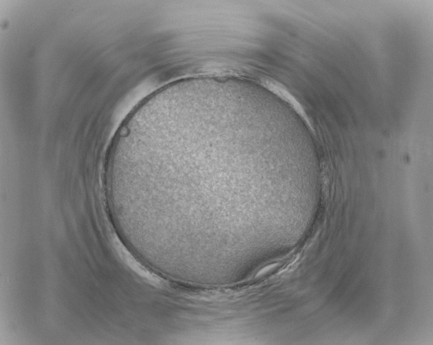 X0000070371091200607072122