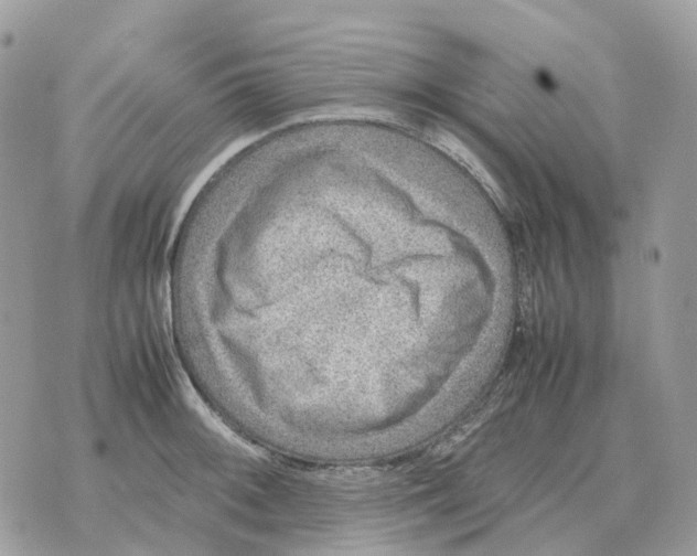 X0000070371092200607072122