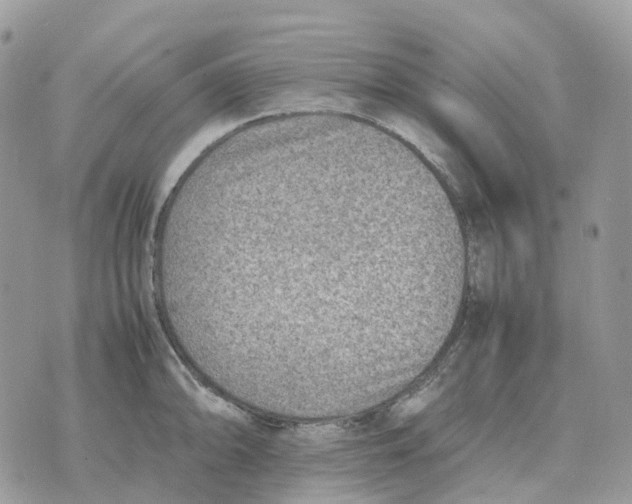 X0000070371094200607072122