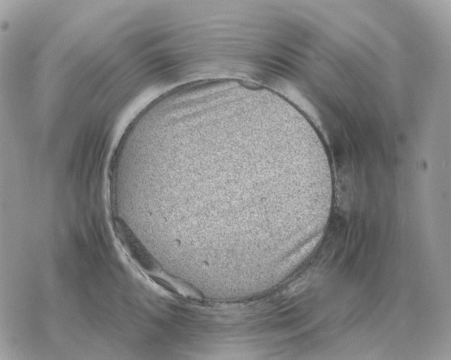 X0000070371096200607072122