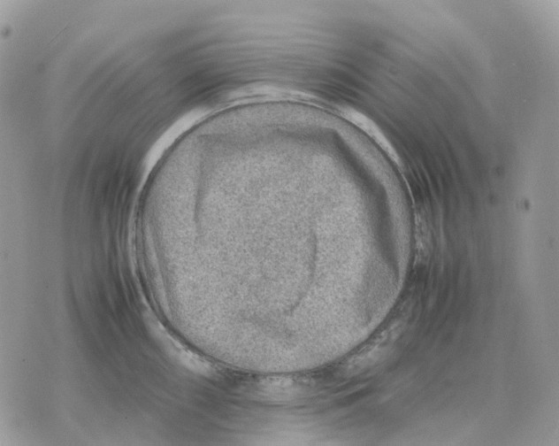 X0000070371098200607072122