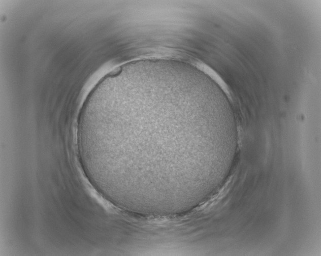 X0000070371099200607072122