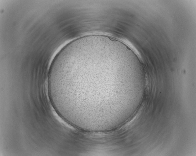 X0000070371100200607072122