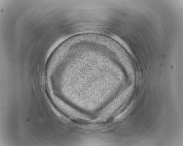 X0000070371101200607072122