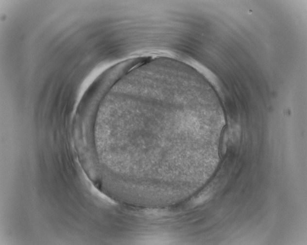 X0000070371102200607072122