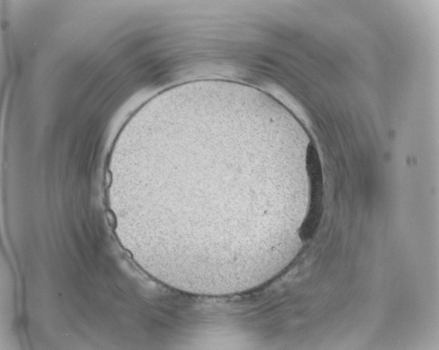 X0000070371104200607072122