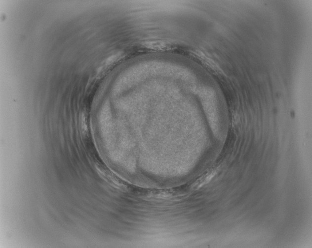 X0000070371106200607072121