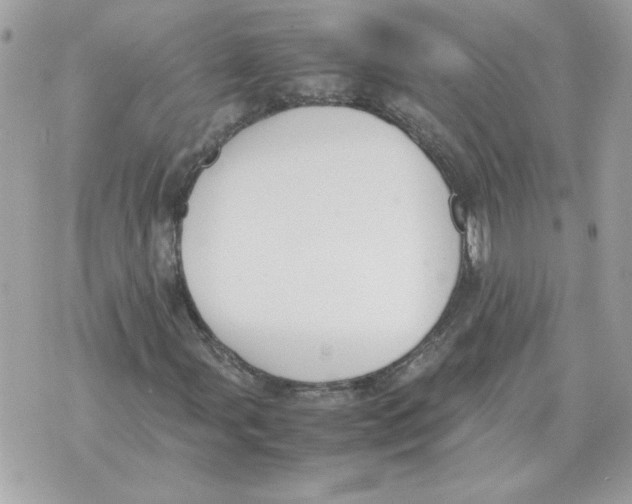 X0000070371107200607072121