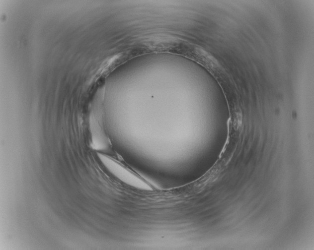 X0000070371108200607072121