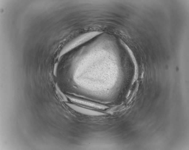 X0000070371109200607072121