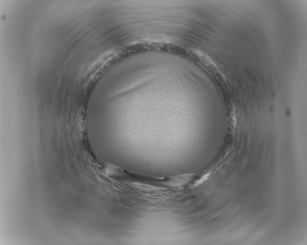 X0000070371110200607072121