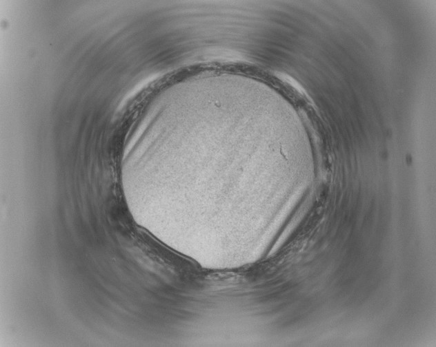 X0000070371112200607072121