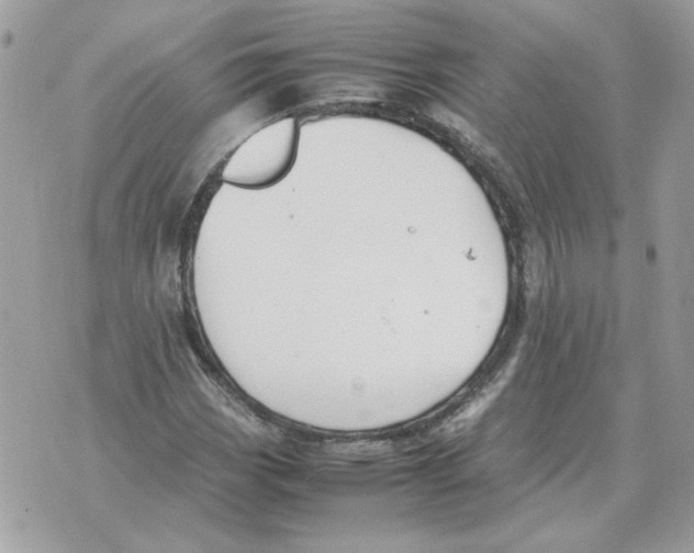 X0000070371113200607072121