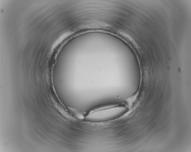 X0000070371114200607072121