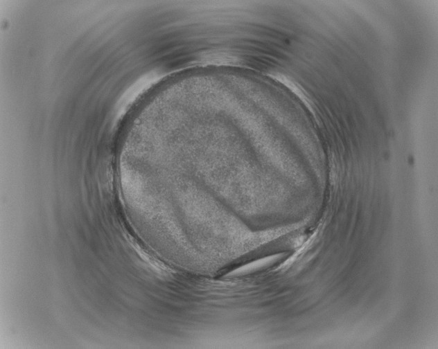 X0000070371115200607072121