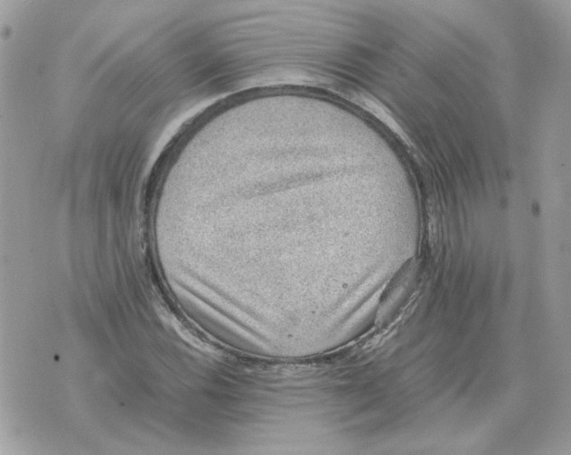 X0000070371116200607072121