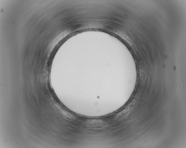 X0000070371119200607072121