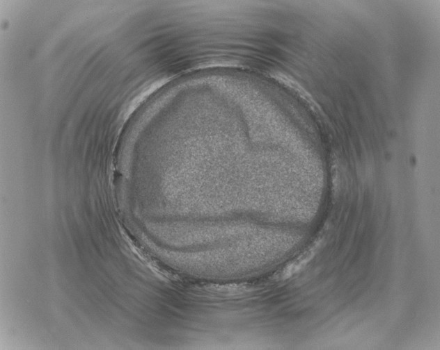 X0000070371121200607072121