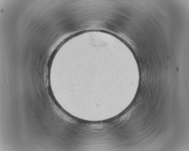 X0000070371126200607072122