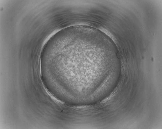 X0000070371127200607072122