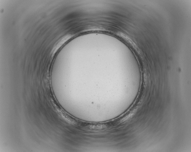 X0000070371129200607072122