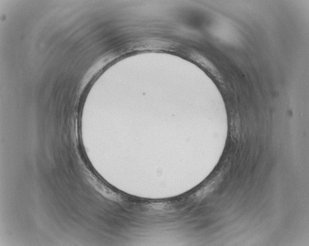 X0000070371130200607072122